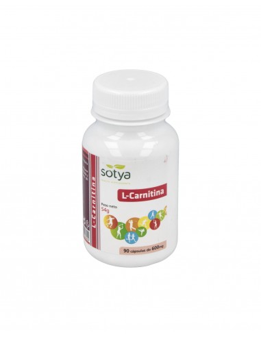 L-Carnitina 600Mg. 90Cap.