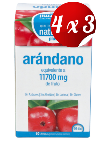 Pack 4x3 uds Arandano 90 Mg  60 Capsulas De Dietmed