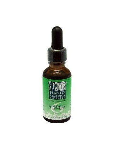 Remedio Plantis Nº 6 Autoestima 30Ml. Eco de Artesania