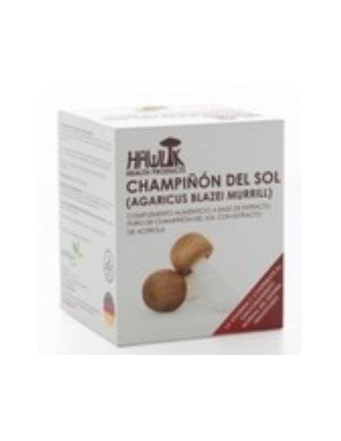 Champiñon Del Sol Extracto Puro 60Vcaps. de Hawlik