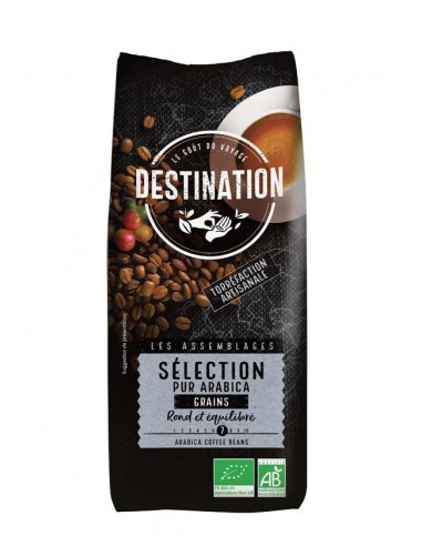 Cafe Arabica 100% Seleccion Grano 1 KiloBio Destination