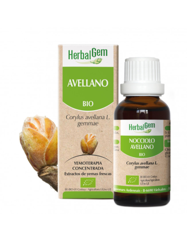 Avellano Bio 50 Ml de Herbalgem