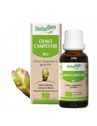 Olmo Campestre Bio 50 Ml de Herbalgem