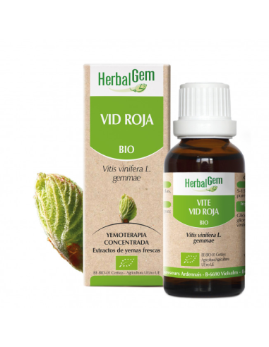 Vid Roja Bio 50 Ml de Herbalgem