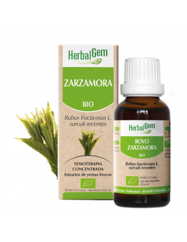 Zarzamora Bio 50 Ml de Herbalgem