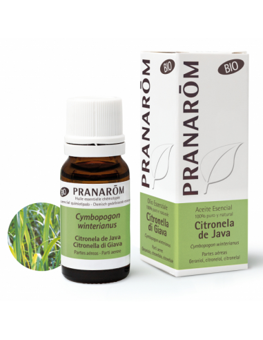 Citronela De Java Partes Aereas Bio 10 Ml de Pranarom