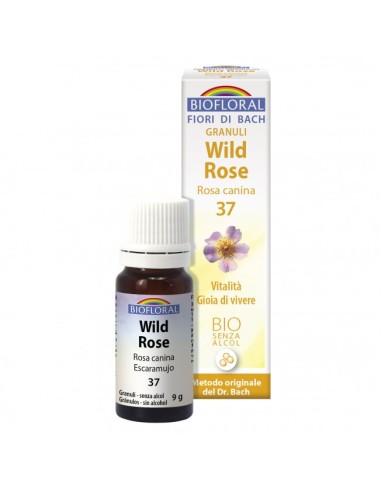 Flores De Bach 37 Wild Rose - Escaramujo Bio* - 9 G - Gránul