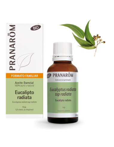 Eucalipto Radiata Hoja Bio 30 Ml de Pranarom