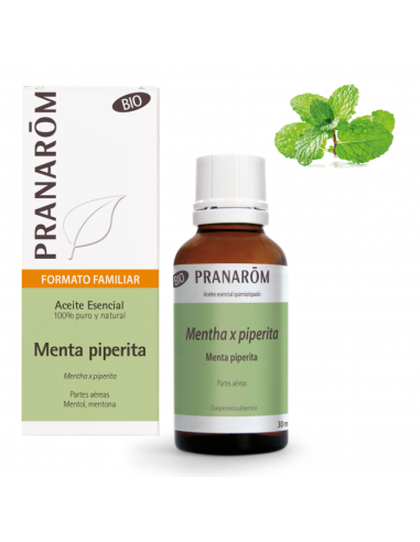 Menta Piperita Partes Aereas Bio 30 Ml de Pranarom