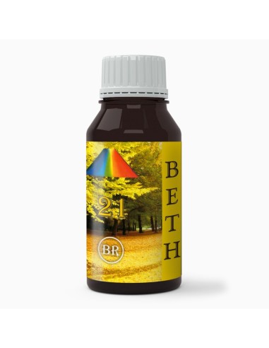 Beth 21 Br Jarabe 250 Ml de Bequisa