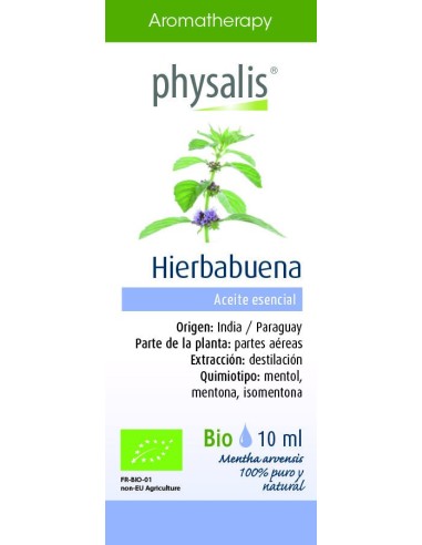 Hierbabuena 10 Ml de Physalis