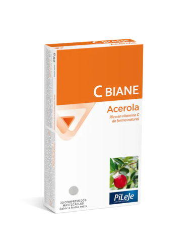 Cbiane20 Comp Mast de Pileje