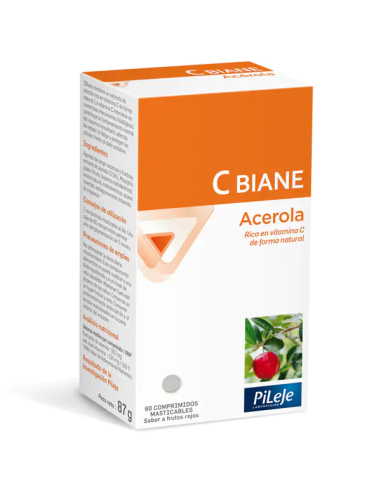 Cbiane60 Comp Mast de Pileje