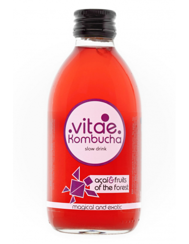 Kombucha Açaí-Frutos Bosque Grande Bio 500 ml de Vitae Kombucha