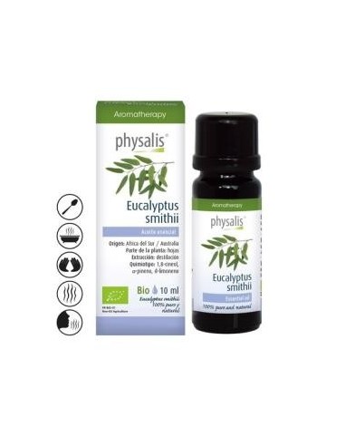 Eucalipto Smithii Aceite Esencial 10Ml. Bio de Physalis