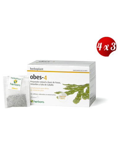 Pack 4x3 Obes-4 20 Filtros de Herbora