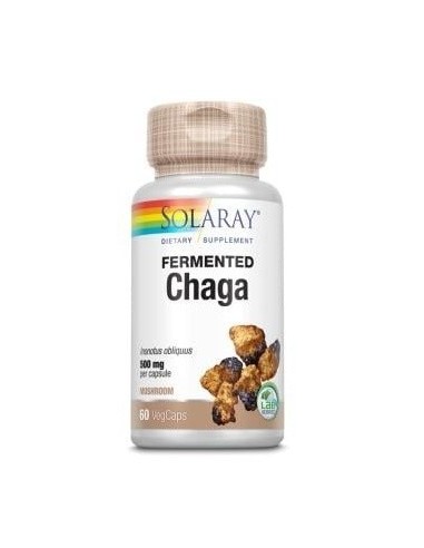 Chaga Fermented 500Mg 60Vcap.