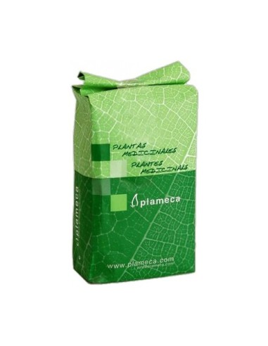 Pino Abeto Yemas Trit 1 Kg De Plameca