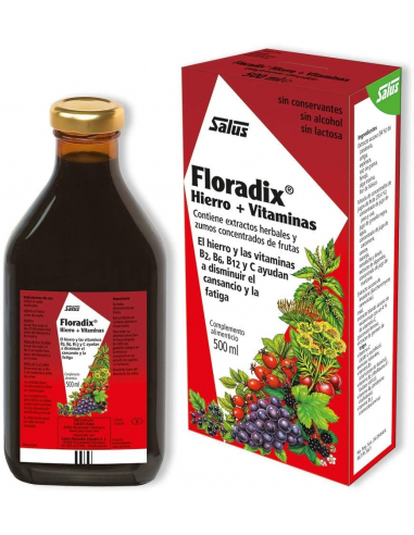 Floradix Hierro 500Ml de Salus