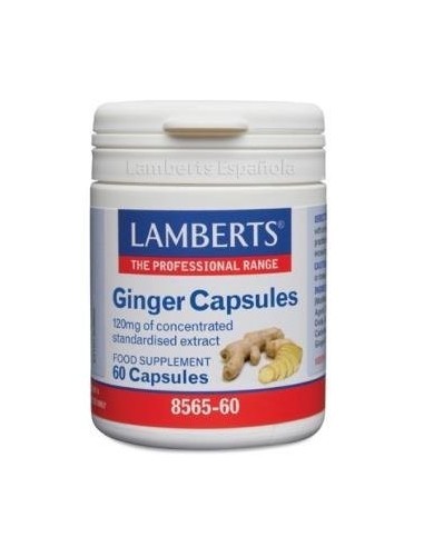 Jengibre 14.400 mg (24 mg de gingeroles) 60 Caps de Lamberts