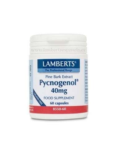 PycnogenolÂ® 60 Caps de Lamberts