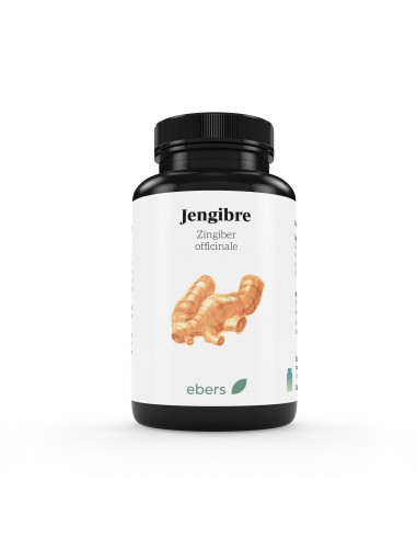 Jenjibre 500 Mg 50 Comp de Ebers