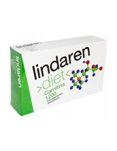 Lindaren Diet Carnitina 1200 20Amp. de A