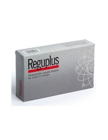 Reguplus 20Amp. de Artesania