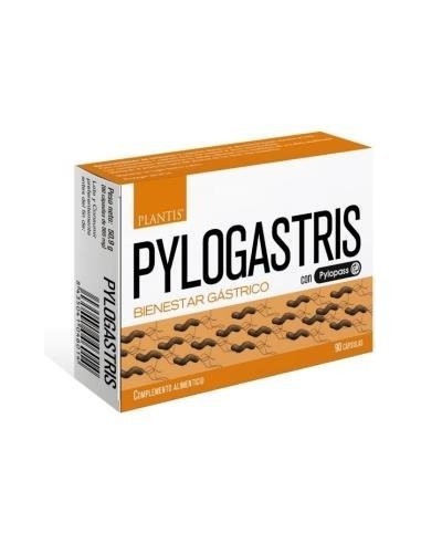 Pylogastris 90Cap. de Artesania