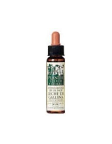 Elm Plantis Flores De Bach Nº 11 10Ml. d