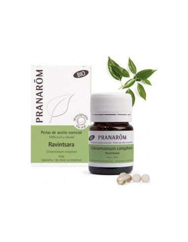 Ravintsara Hoja Bio 60 Minicapsulas de Pranarom